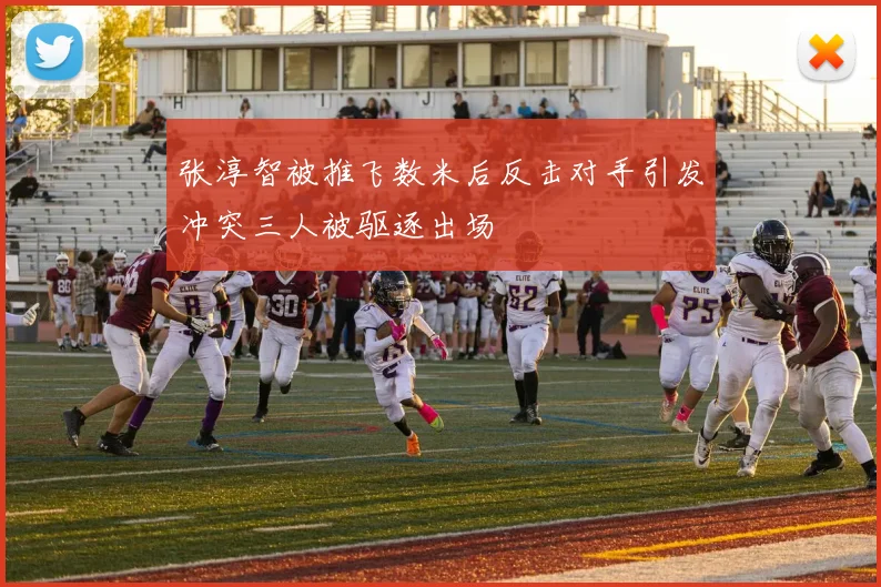 张淳智被推飞数米后反击对手引发冲突三人被驱逐出场