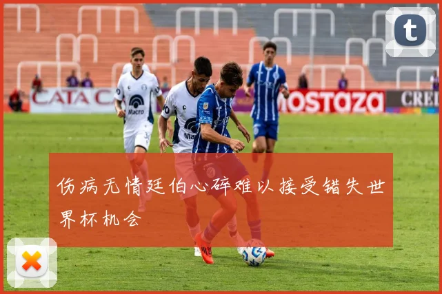 伤病无情廷伯心碎难以接受错失世界杯机会